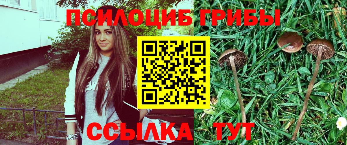 Галлюциногенные грибы MAGIC MUSHROOMS Каспийск