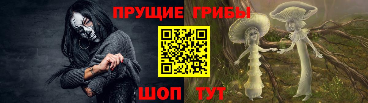 Каспийск  Псилоцибиновые грибы Psilocybe  Вход с VPN  Псилоцибиновые грибы GOLDEN TEACHER 